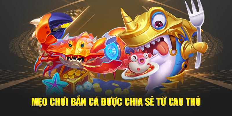 Mẹo chơi bắn cá từ cao thủ không nên bỏ qua Mẹo chơi bắn cá từ cao thủ không nên bỏ qua