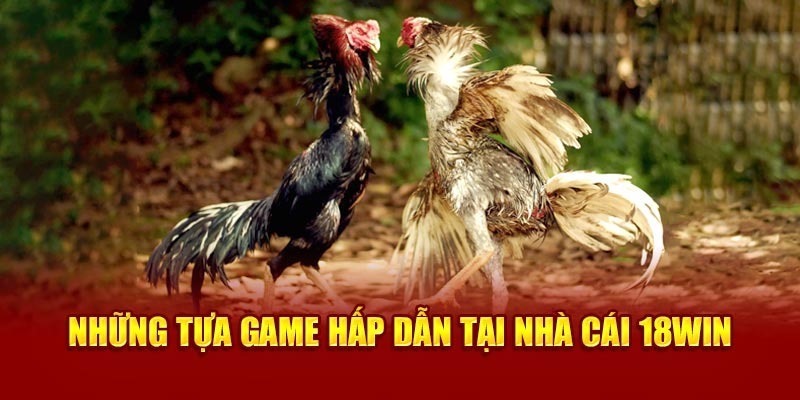 Đá gà cựa sắt luôn được ưa chuộng tại đá gà 18win Đá gà cựa sắt luôn được ưa chuộng tại đá gà 18win
